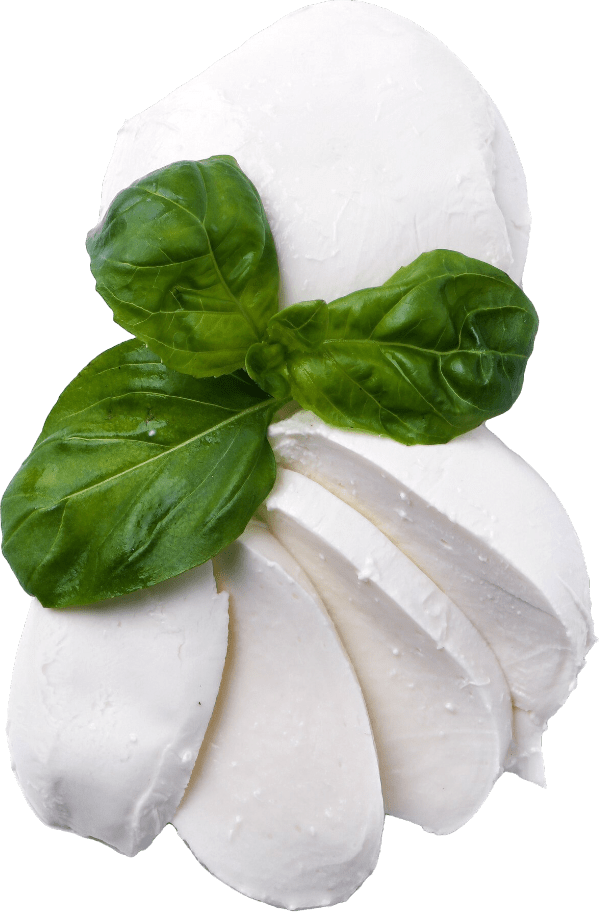 mozzarella